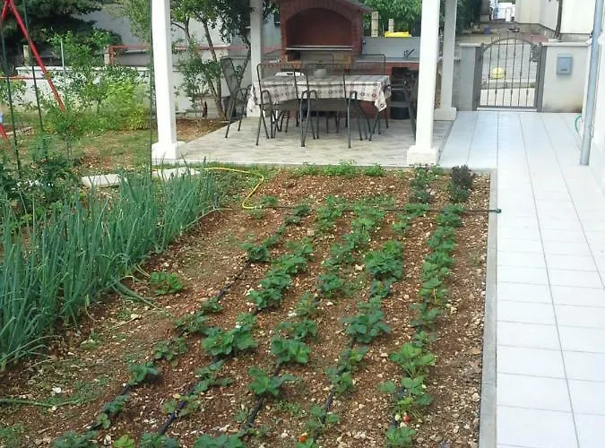 Sanja M 2 Appartement